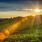 Le Strade Del Gavi Bed & Breakfast 3*