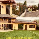 Le Strade Del Gavi