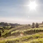 Le Strade Del Gavi Bed & Breakfast