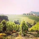Le Strade Del Gavi