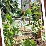 Le Strade Del Gavi 3* Francavilla Bisio