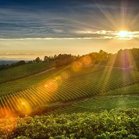 Le Strade Del Gavi فندق مبيت وإفطار 3*