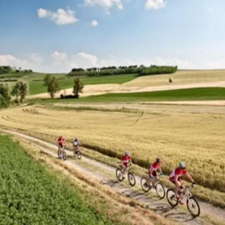 Le Strade Del Gavi Bed & Breakfast