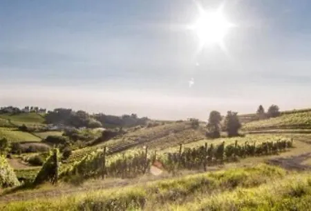 Le Strade Del Gavi Bed & Breakfast