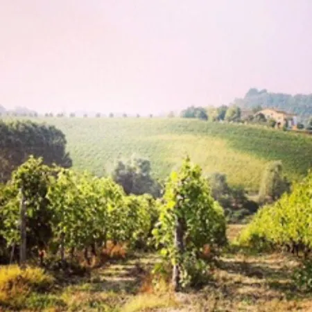 Le Strade Del Gavi
