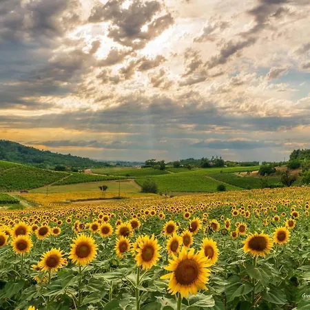 Le Strade Del Gavi Bed & Breakfast Francavilla Bisio