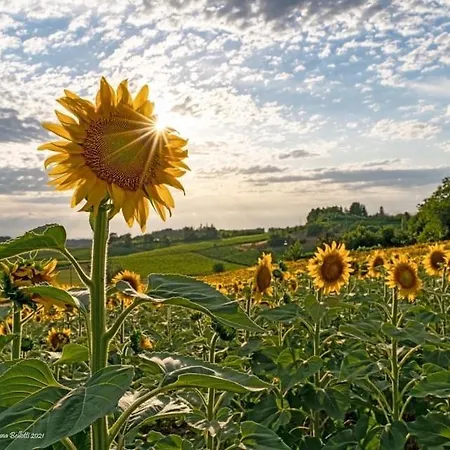 Bed & Breakfast Le Strade Del Gavi Francavilla Bisio