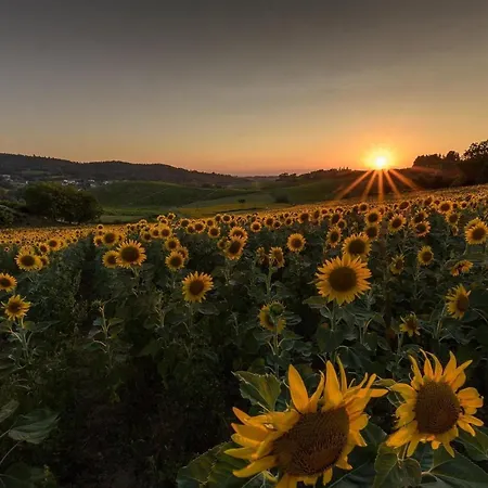 Bed & Breakfast Le Strade Del Gavi Francavilla Bisio