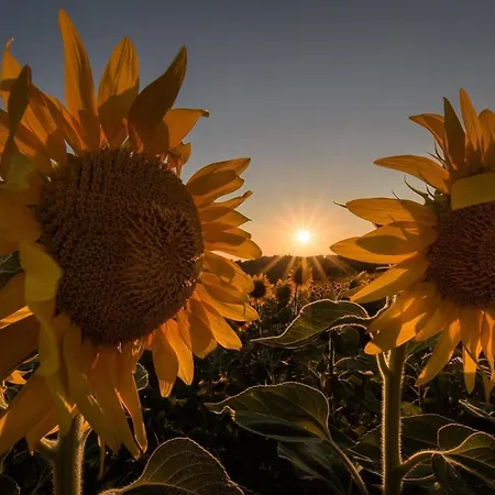 Le Strade Del Gavi Bed & Breakfast 3*