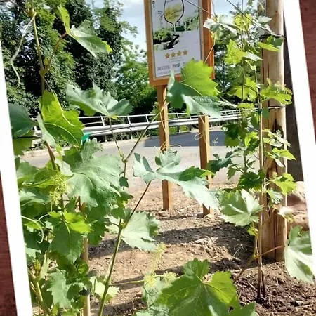 Le Strade Del Gavi 3* Francavilla Bisio