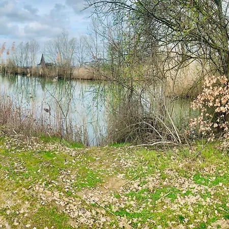 Le Strade Del Gavi